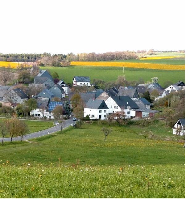 Blick über Thalkleinich mit Wiesen und Feldern